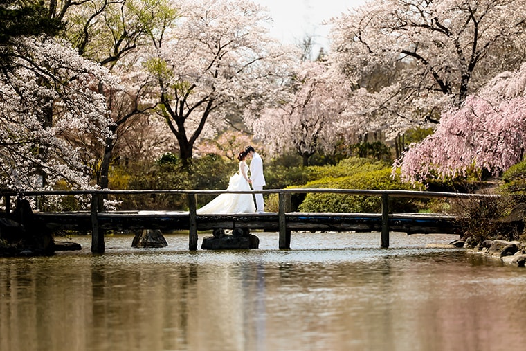 フォトウエディング・結婚記念の撮影：フォトグラフアメリ―